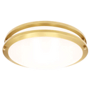 Luxrite  LR2329 Brass Surface Mount Selectable CCT