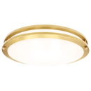 Luxrite  LR2329 Brass Surface Mount Selectable CCT