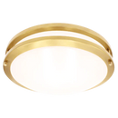 Luxrite  LR2329 Brass Surface Mount Selectable CCT