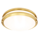 Luxrite  LR2329 Brass Surface Mount Selectable CCT