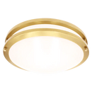 Luxrite  LR2329 Brass Surface Mount Selectable CCT