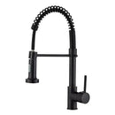 Luxury black & gold kitchen faucet with pull out spring hose