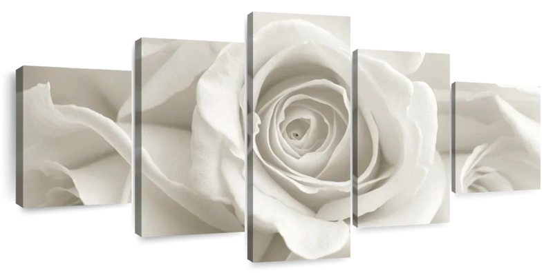 Pure White Roses Wall Art