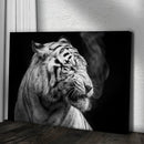Black And White Smoking Tiger Canvas Wall Art