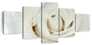 White Rose Close Up Wall Art