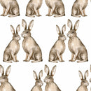 Hares Wallpaper for Kids