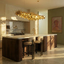Maahnoor Chandelier