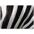 MacBook Pro 14 (2021) Custom Skin