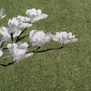 Magnolia Branch - Green Coir Doormat