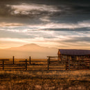 Colorado Farmhouse Wall Art