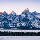 Jackson Hole Grand Teton Wall Art