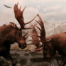 Moose Battle Wall Art