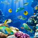 Underwater Sea Creatures Wall Art