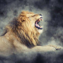Misty Wild Lion Wall Art