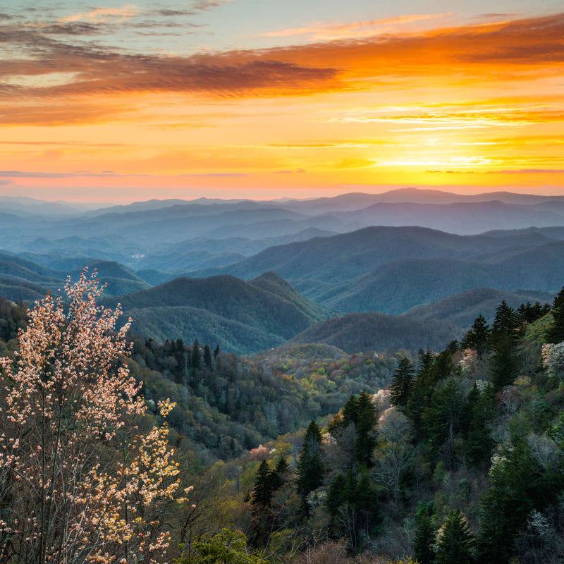 Great Smoky Mountains Sunrise Wall Art