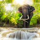 Waterfall Elephant Wall Art