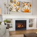 Majestic Quartz 32-Inch Direct Vent Natural Gas Fireplace [QUARTZ32IFTN] (SAK75142)