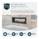 Majestic Echelon II 48-Inch See-Through Direct Vent Fireplace [ECHEL48STIN-C] (SAK69284)