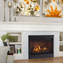 Majestic Quartz 36-Inch Platinum Direct Vent Fireplace [QUARTZPLA36IN/IL] (SAK03613)