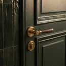 Manus Handle and Lock