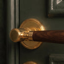 Manus Handle and Lock
