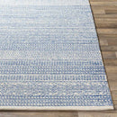Melun Global Denim Area Rug