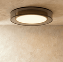 Marisol Ceiling Light