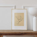 The Robin Art Print