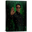 Matrix Neo Canvas