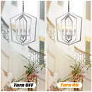 Matte Black and Silver Indoor Pendant Lights 4-Light Adjustable Chandelier