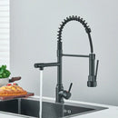 Matte black brass kitchen sink faucet with pull down dual spout