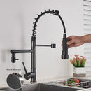 Matte black decorbites brass kitchen faucet with swivel spout