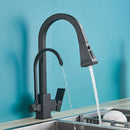 Matte Black Pull-Down Spray Kitchen Faucet