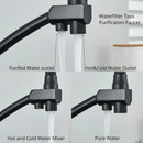 Matte black dual spout kitchen faucet with water purification