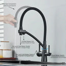 Matte black dual spout kitchen faucet with water purification