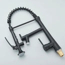 Matte black flexible led kitchen faucet with dual spout mixer