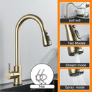 DecorBites™ Black Pull Out Kitchen Sink Faucet - Deck Mounted Stream Sprayer Kitchen Mixer Tap
