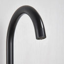 DecorBites™ Black Purified Water Kitchen Faucet Hot Cold Mixer Dual Handles Drinking Water Tap