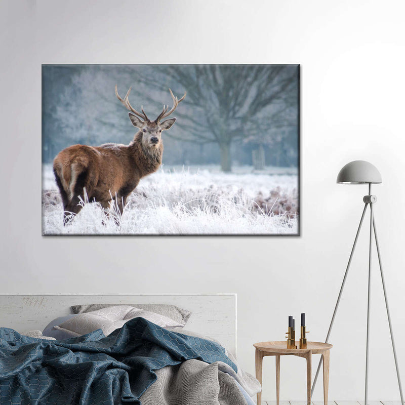 Deer Stare Wall Art