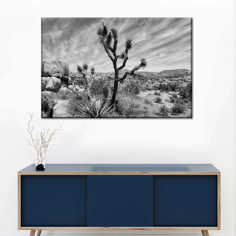 Desert Joshua Tree Wall Art