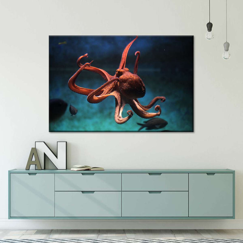 Octopus Vulgaris Wall Art