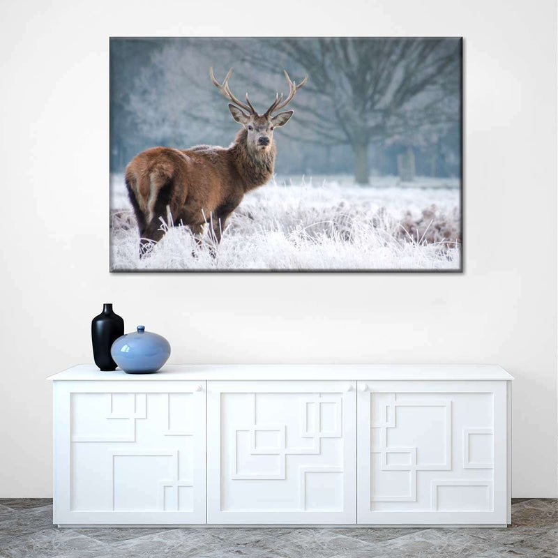 Deer Stare Wall Art