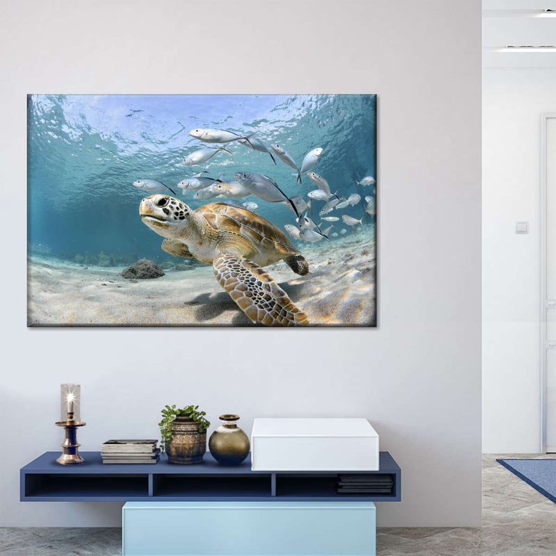 Curacao Fish And Turtle Wall Art