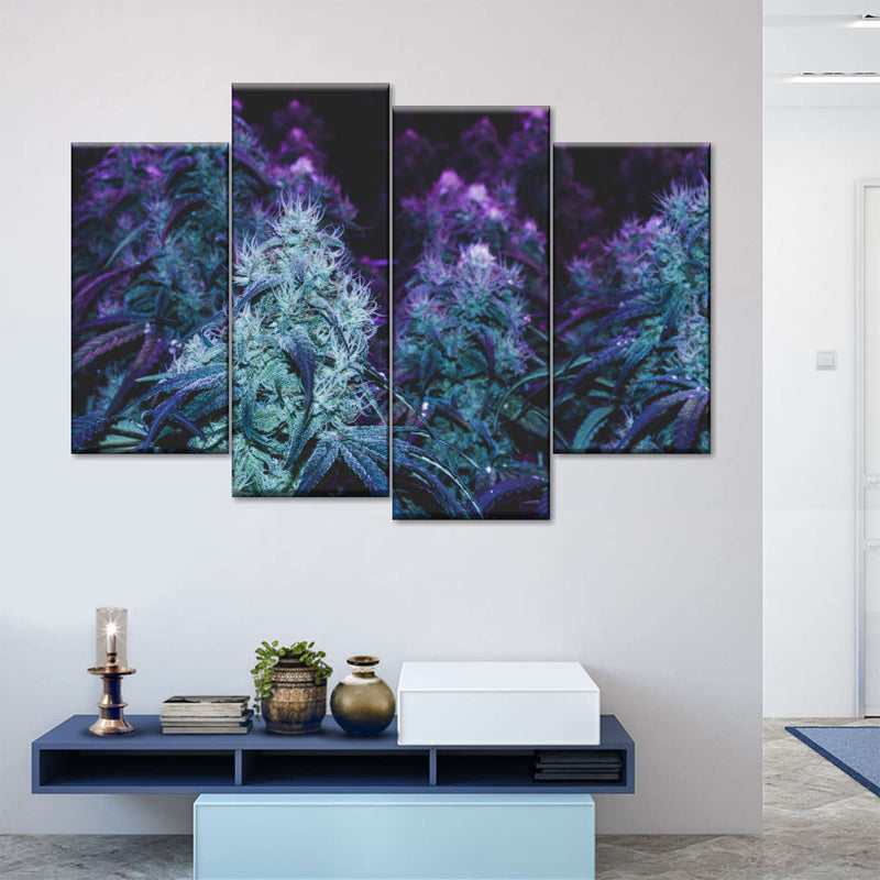 Flowering Purple Cannabis Wall Art