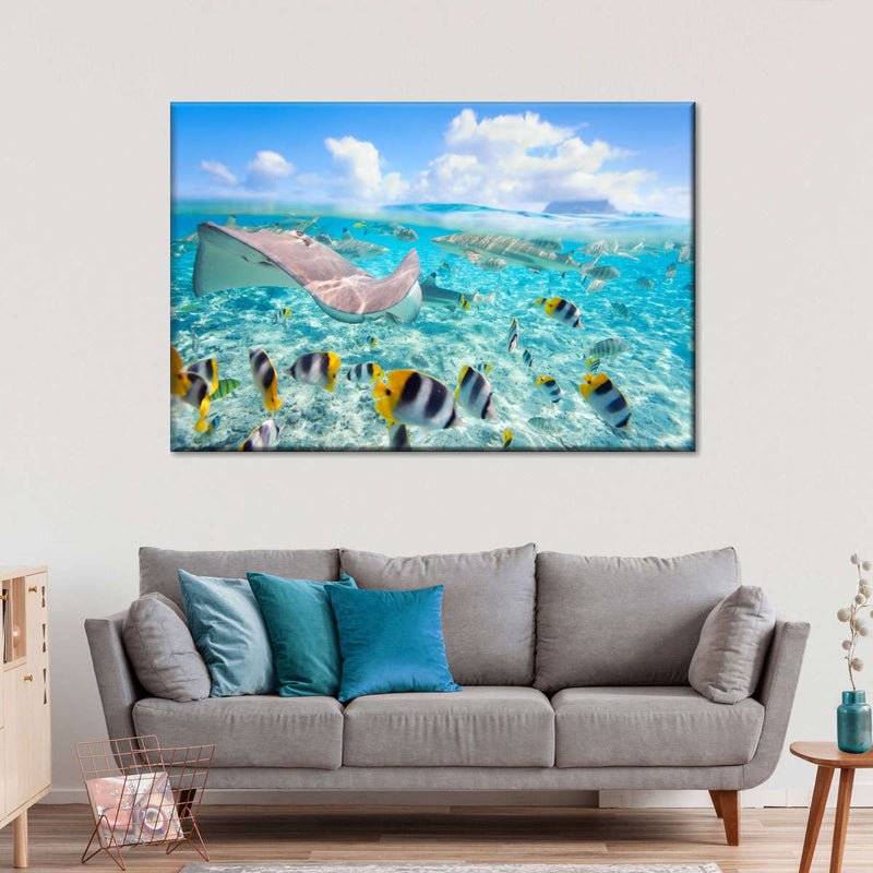 Bora Bora Sea Life Wall Art