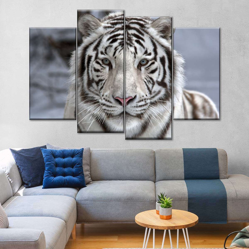 Endangered White Tiger Wall Art