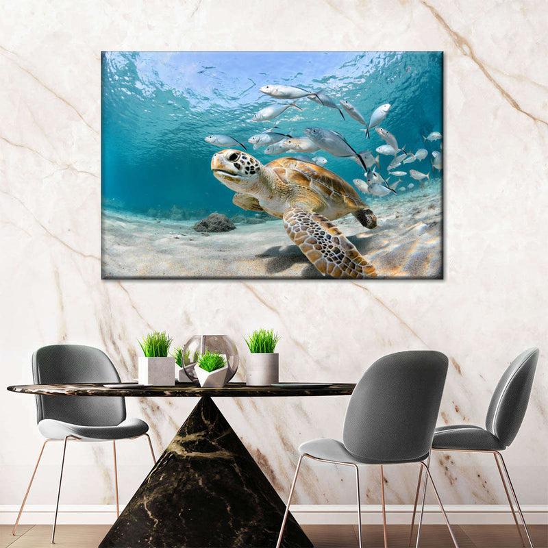 Curacao Fish And Turtle Wall Art