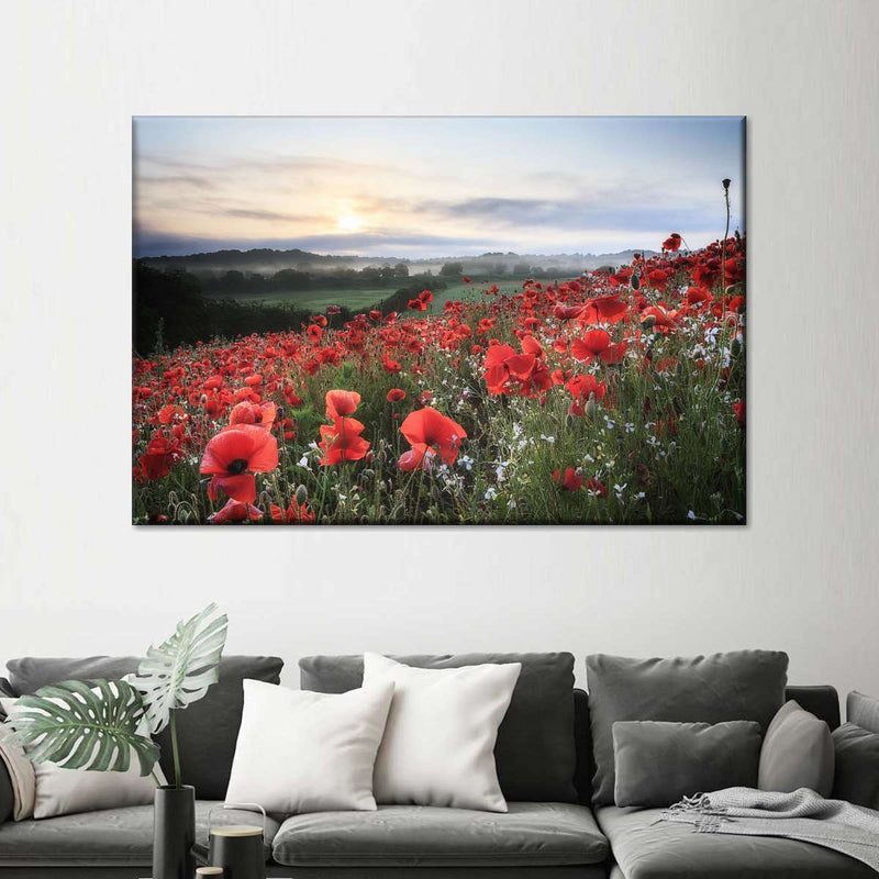 Field Of Red Poppies Wall Art