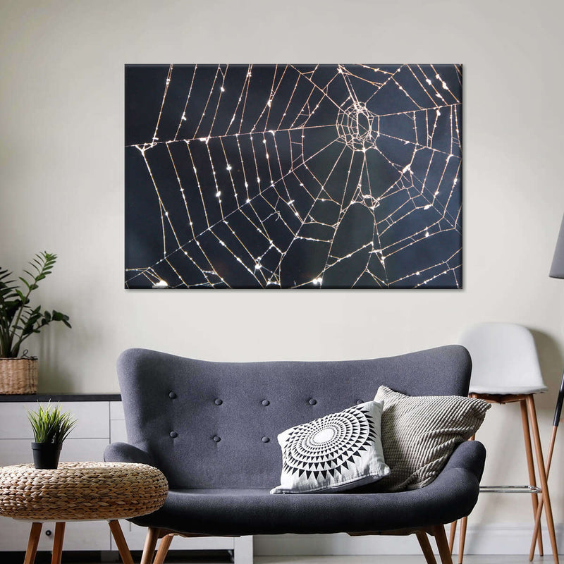 Spider Web Wall Art