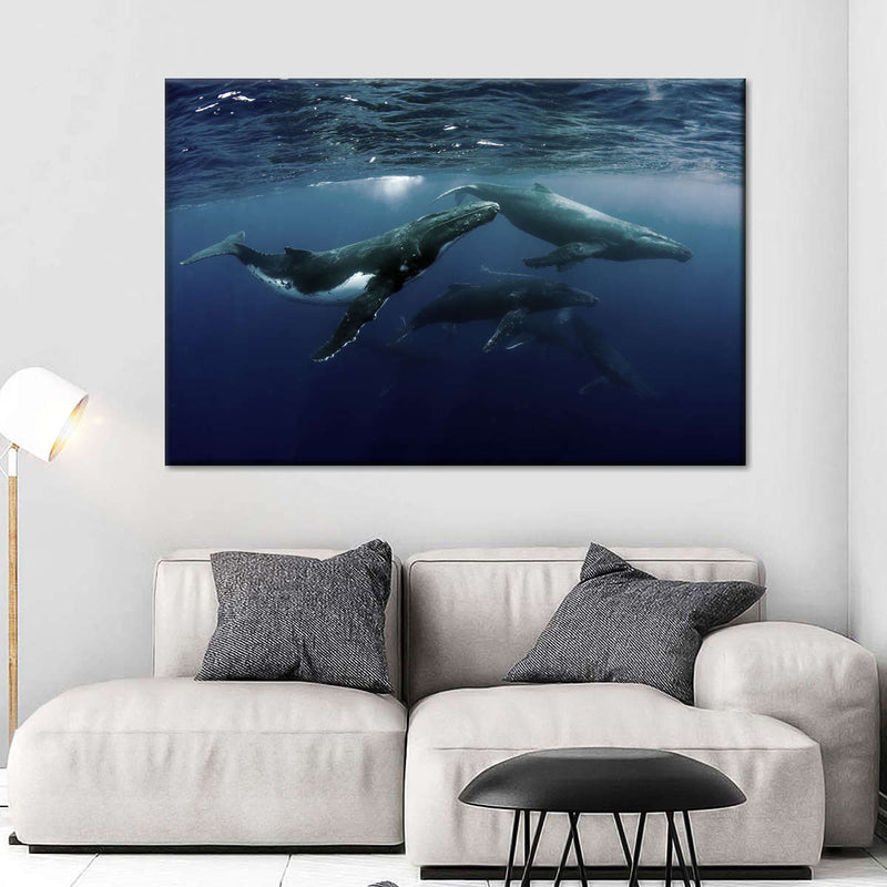 Humpback Whales Wall Art